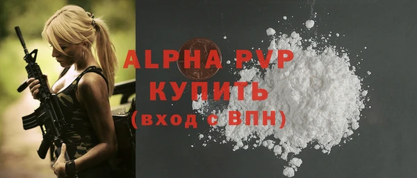 индика Бугульма