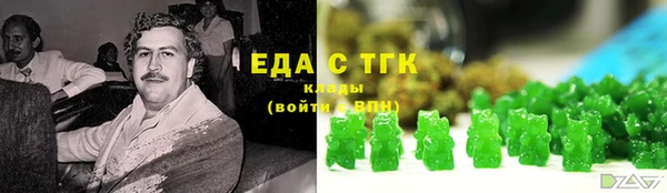 индика Бугульма