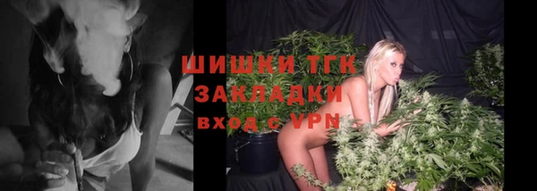 индика Бугульма