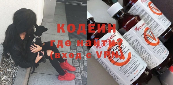 индика Бугульма