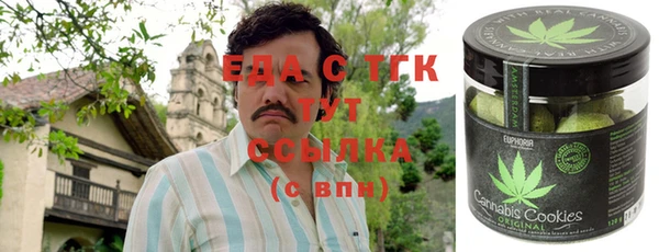 индика Бугульма